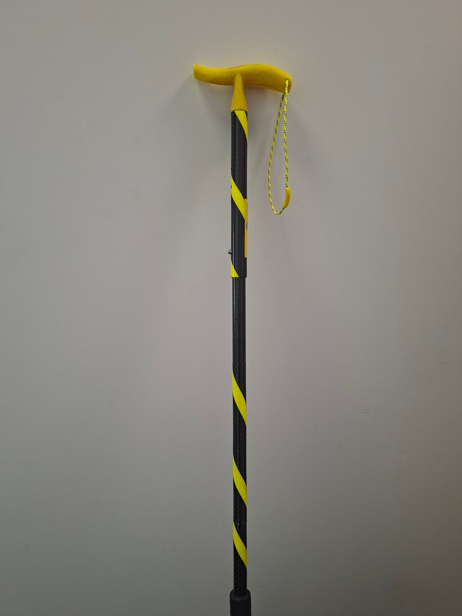 SALE Viz Walking Stick