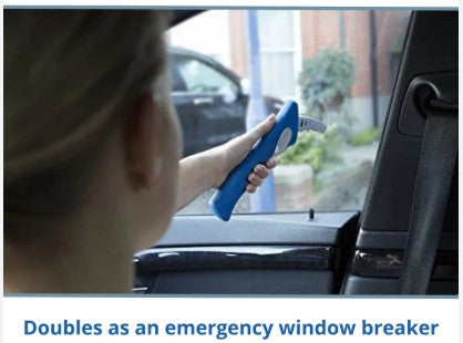 Car Exit Aid
