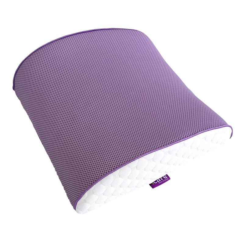 Cushion - Icare Back