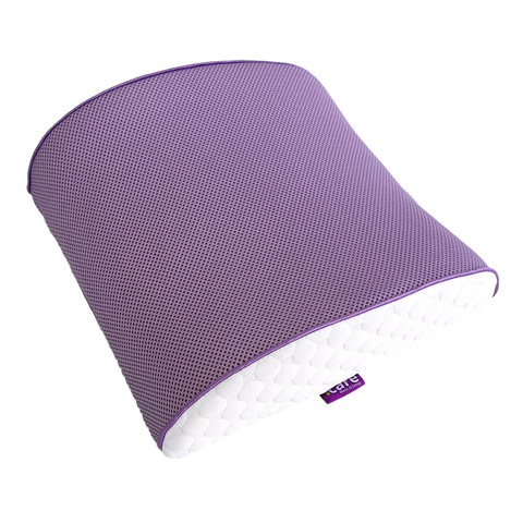 Cushion - Icare Back